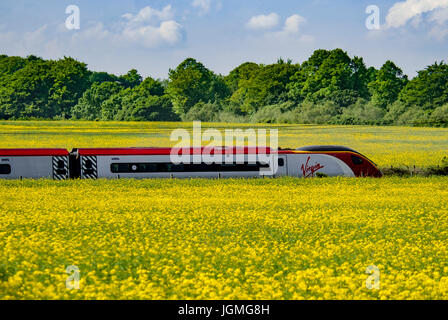 Una vergine treno pendolino precipita attraverso i campi di colza sulla linea principale della costa occidentale in Lancashire. Foto Stock