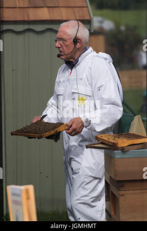 Uomo BBKA dando live demo di apicoltura sta parlando & holding telaio alveare con le api - RHS Chatsworth Flower Show showground, Derbyshire, Inghilterra, Regno Unito. Foto Stock