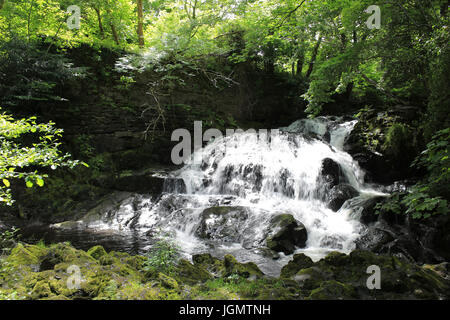Le Fairy Falls, Trefriw, Conwy Valley Foto Stock