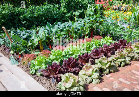 Verdure in Chris Evans Giardino del Gusto, una BBC Radio 2 per sentirsi bene giardino disegnato da Jon Wheatley per RHS Chelsea Flower Show 2017 Foto Stock