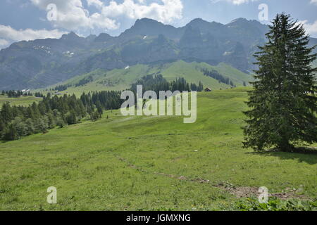 Swiss Mountain Vistas vicino Gamplüt e Wildhauser Schafberg Foto Stock