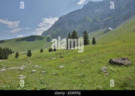 Swiss Mountain Vistas vicino Gamplüt e Wildhauser Schafberg Foto Stock