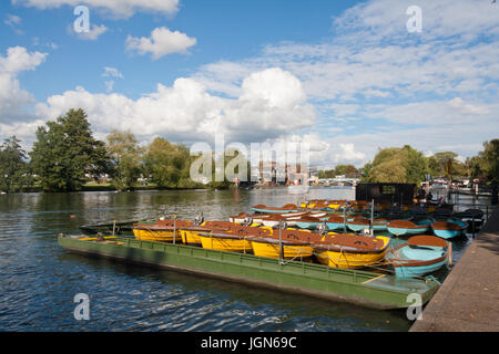 Noleggiare barche a remi sul fiume Tamigi a Windsor, Berkshire, Inghilterra, Regno Unito Foto Stock