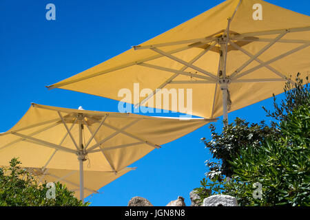 Ombrelloni e cielo blu - Vista dettagliata, guardando dal di sotto Bar Ombrelloni a Vivid Blue Sky: Baia Sardinia, Gallura Sardegna, Italia. Foto Stock
