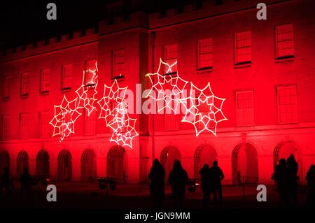 Syon Park Bosco Incantato Foto Stock