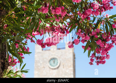 Viaggio in Sicilia, Italia - rosa fiori di oleandri e di Clock Tower (Torre dell Orologio) su sfondo a Piazza IX Aprile nella città di Taormina in estate Foto Stock