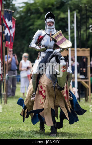 Londra, Eltham, Regno Unito. 8 Luglio, 2017. Grand giostra medievale a Eltham Palace © Guy Corbishley/Alamy Live News Foto Stock