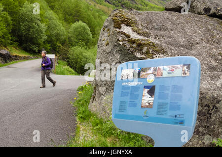 Scheda informazioni circa Briksdalsbreen o Ghiacciaio Briksdal Jostedalsbreen nel Parco Nazionale. Briksdalen o valle Briks Stryn Sogn og Fjordane Norvegia Foto Stock