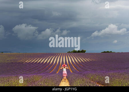 Donna in top bianco, floreale gonna e cappello rosa in piedi nel campo di lavanda sotto moody sky in Valensole, Provenza, Francia. Foto Stock