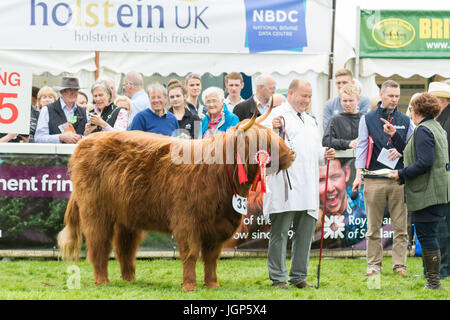 Campione delle Highland - Eleonora di Ubhaidh da Graeme Easton Ranch Livestock - del 2017 Royal Highland Show, Ingliston, Edimburgo, Scozia, Regno Unito Foto Stock