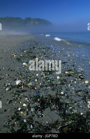 Sulla spiaggia di stretto di Juan de Fuca, Fort Worden parco dello stato di Washington Foto Stock