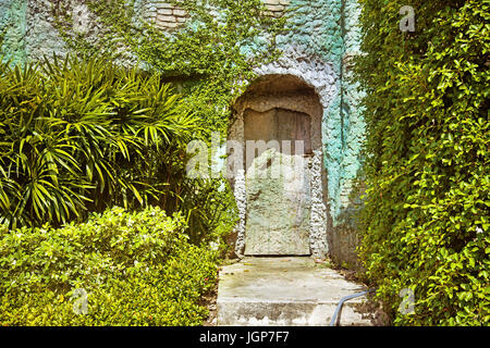 La vecchia porta con cerniere arrugginito dell'antica casa di pietra ricoperta da foglie d'uva. Foto Stock