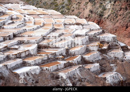 Maras miniere di sale Foto Stock