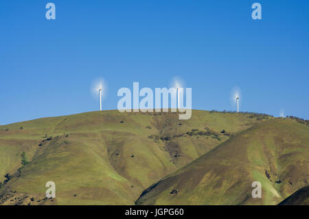 Le turbine eoliche in rotazione per produrre elettricità nelle gole del fiume Columbia. Arlington, Oregon Foto Stock