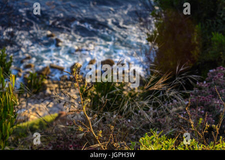 Guardando verso il basso una scogliera al punto Vincent Lighthouse vicino a Palos Verdes, CA Foto Stock