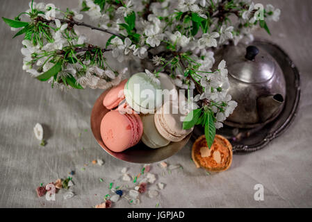 Amaretti multicolore su una tabella con vaso orientale e il ramo di ciliegio in fiore Foto Stock