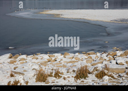 L inverno al lago di Costanza Foto Stock