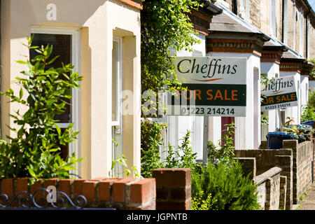 Case a schiera in vendita segni. Cambridge Inghilterra REGNO UNITO Foto Stock