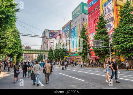 I turisti e la gente del posto camminano in una domenica libera dal traffico sulla strada dello shopping Chuo-Dori presso la città elettrica di Akihabara, Tokyo, Giappone Foto Stock