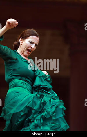 Francoforte, Germania. 9 Luglio, 2017. La ballerina di Flamenco Bettina Castano esegue al trentesimo Rheingao Music Festival di Bad Homburg, Germania, il 9 luglio 2017. Il trentesimo Rheingao Music Festival si svolge dal 24 giugno a settembre 2. Credito: Luo Huanhuan/Xinhua/Alamy Live News Foto Stock