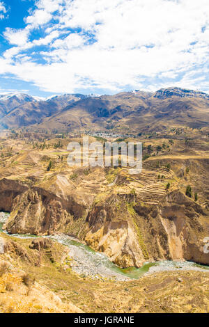 Il Canion del Colca, Perù, Sud America. Incas per costruire allevamento terrazze con stagno e Cliff. Uno dei profondi canyon nel mondo Foto Stock