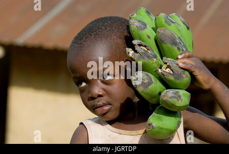 KISORO, Uganda, AFRICA - Dicembre 12, 2008: Kisoro. Uganda. L'Africa. Il ragazzo del ritratto con un collegamento di banane che va al mercato a vendere. Foto Stock