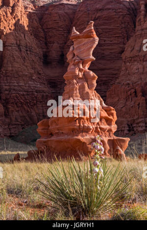 La Hopi Clown. Moenave arenaria, relativamente morbido strato di arenaria che si presta bene a essere scolpito da erosione. In Arizona, Stati Uniti d'America Foto Stock