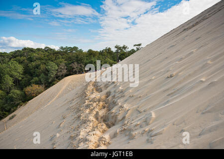 Vista dalla duna del Pyla, in Europa la duna più alta Foto Stock