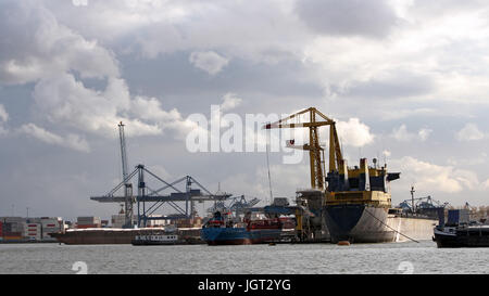 Gru e container a fianco di navi portacontainer ormeggiata in banchina commerciale. Contenitore industriale agli scambi di merci porto scena. Foto Stock