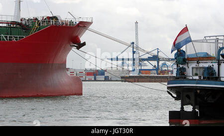 Gru e container a fianco di navi portacontainer ormeggiata in banchina commerciale. Contenitore industriale agli scambi di merci porto scena. Foto Stock