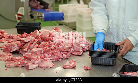 Crudo fresco costolette di maiale nella fabbrica di carne. Trasformazione della carne nel settore alimentare. Confezionamento di carne cruda sulla linea di produzione. Foto Stock