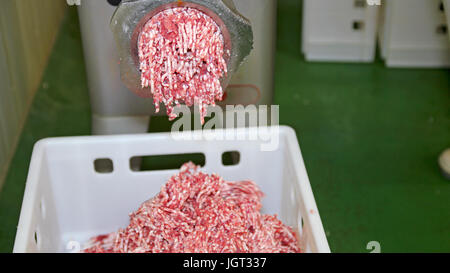 Carne tritacarne la macinazione delle carni in impianto per la trasformazione di carni. Fino vista ravvicinata della carne in terra. Foto Stock