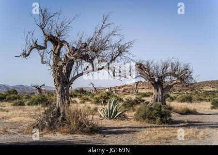 Meravigliosi paesaggi nel deserto di Tabernas, Andalusia, Spagna Foto Stock