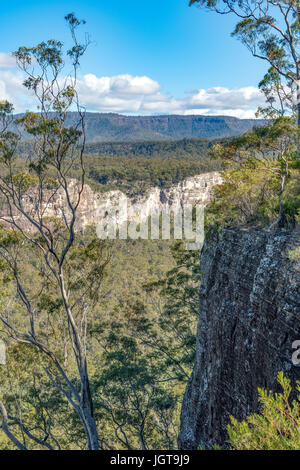 Vista da Boolimba Bluff, Carnarvon Gorge, Queensland, Australia Foto Stock