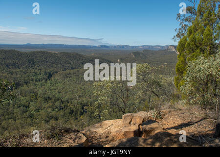 Vista da Boolimba Bluff, Carnarvon Gorge, Queensland, Australia Foto Stock