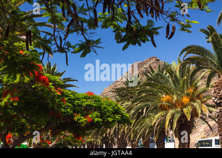 Palme e fiori di colore rosso, spiaggia di Las Teresitas, Tenerife, Spagna Foto Stock