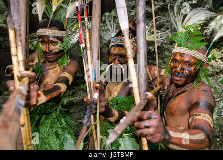 Nuova Guinea, Indonesia - 13 gennaio: i guerrieri di una tribù di Papua di Yafi in abiti tradizionali, ornamenti e colorazione. Foto Stock