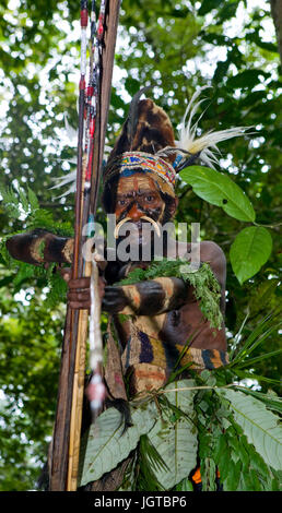 Nuova Guinea, Indonesia - 13 gennaio: i guerrieri di una tribù di Papua di Yafi in abiti tradizionali, ornamenti e colorazione. Foto Stock