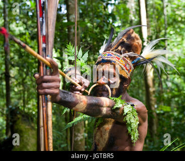 Nuova Guinea, Indonesia - 13 gennaio: i guerrieri di una tribù di Papua di Yafi in abiti tradizionali, ornamenti e colorazione. Foto Stock