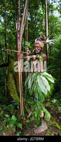 Nuova Guinea, Indonesia - 13 gennaio: i guerrieri di una tribù di Papua di Yafi in abiti tradizionali, ornamenti e colorazione. Foto Stock