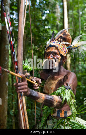 Nuova Guinea, Indonesia - 13 gennaio: i guerrieri di una tribù di Papua di Yafi in abiti tradizionali, ornamenti e colorazione. Foto Stock