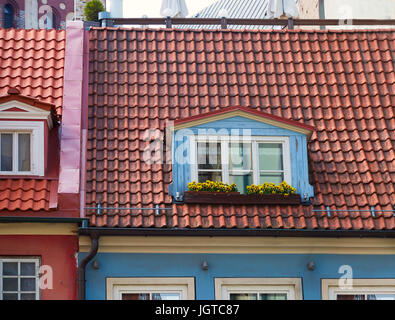 Finestra con fiori nel tetto di una vecchia casa nella città vecchia di Riga, Lettonia Foto Stock