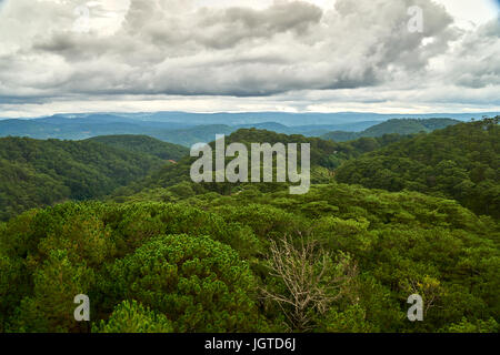 Pineta - angolo di alta vista - dal cavo di Dalat auto al Truc Lam pagoda. Dalat, Vietnam. Foto Stock