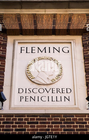 Sir Alexander Fleming scoprì la penicillina lapide sul muro del St.Mary s Hospital, Paddington, London, England, Regno Unito Foto Stock