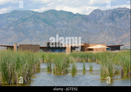 La Brigham City, Utah - Giugno 28, 2017: Recare il fiume uccello migratore rifugio. Il conservare è un 74.000 acri di National Wildlife Refuge, vicino al Grande Lago Salato Foto Stock