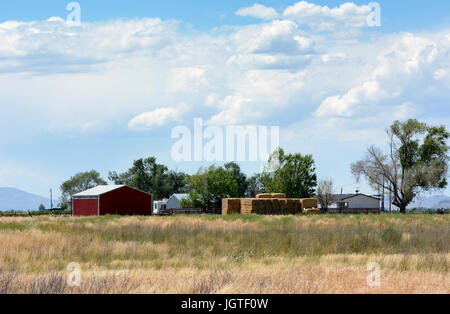 BOX ELDER County, Utah - Giugno 28, 2017: una fattoria rurale paesaggio adiacente al fiume orso uccello migratore rifugio. Foto Stock