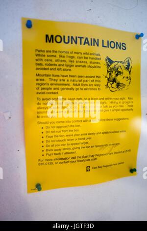 Poster circa i pericoli di leoni di montagna, 30 giugno 2017. Foto Stock