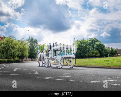 Due cavalli bianchi disegnare un carro funebre con una bara intorno alla rotatoria di una giornata nuvolosa a Corby Town Center, Northamptonshire, Inghilterra. Foto Stock