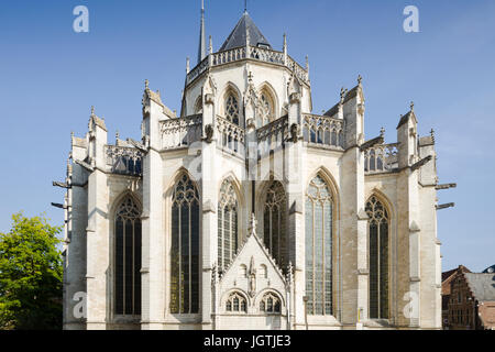 Sint-Pieterskerk (la chiesa di San Pietro), una chiesa medievale nel centro di Leuven, Belgio. Foto Stock