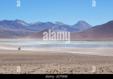 Laguna Blanca, riserve nazionali di fauna Andina Eduardo Abaroa, deserto di Lipez, dipartimento di Potosi, Sud Lipez Provincia, La Paz, Bolívia Foto Stock